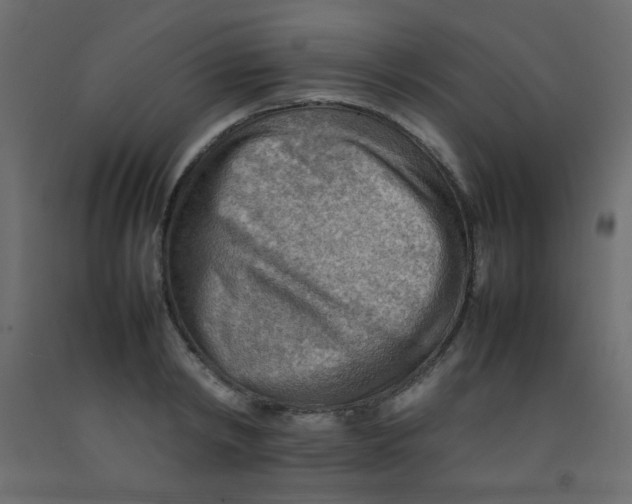 X0000092070798200710101017