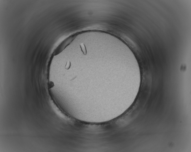 X0000092070800200710101017