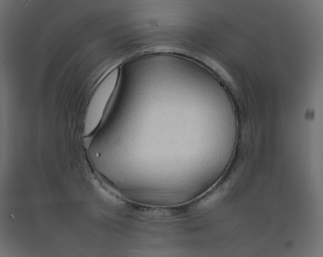 X0000092070801200710101017
