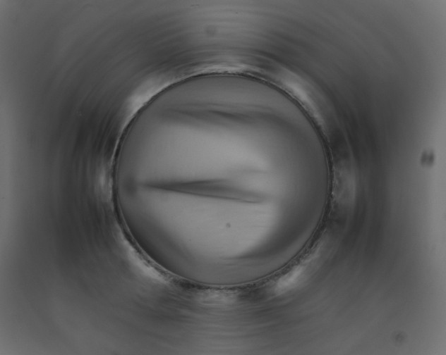 X0000092070802200710101017
