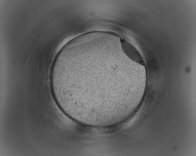 X0000092070803200710101017