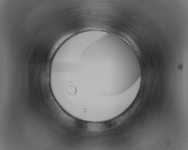 X0000092070804200710101017