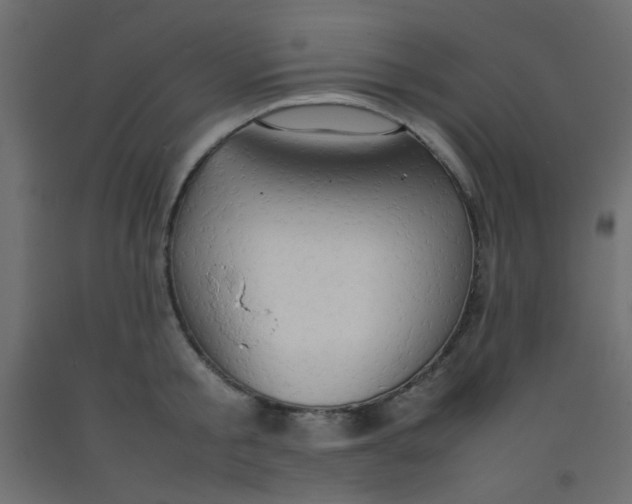 X0000092070805200710101017