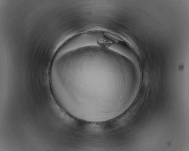 X0000092070806200710101017
