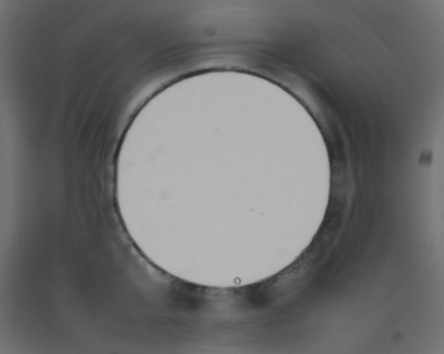 X0000092070807200710101017
