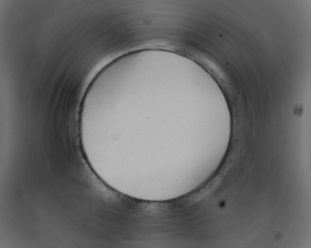 X0000092070808200710101017