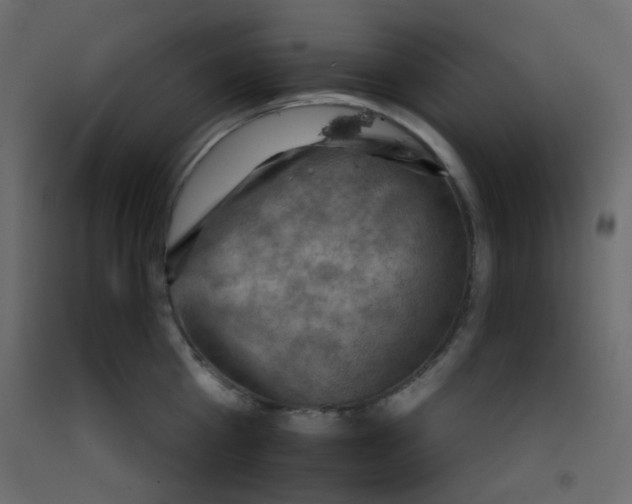 X0000092070809200710101017