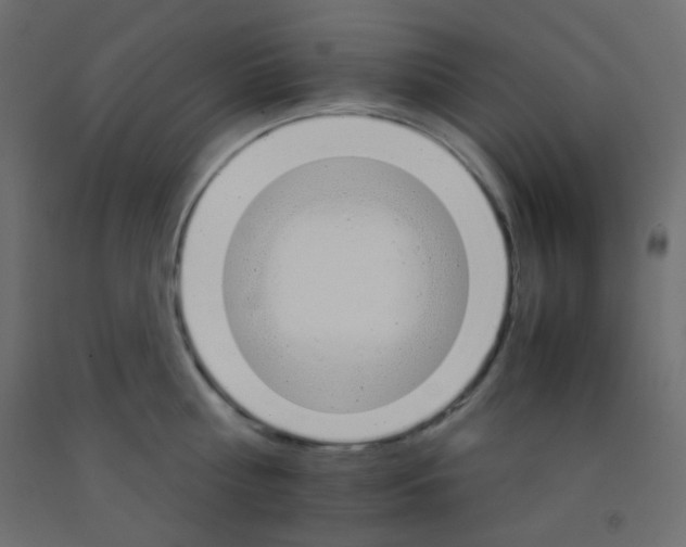 X0000092070810200710101017