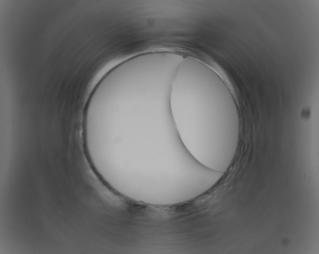 X0000092070811200710101017