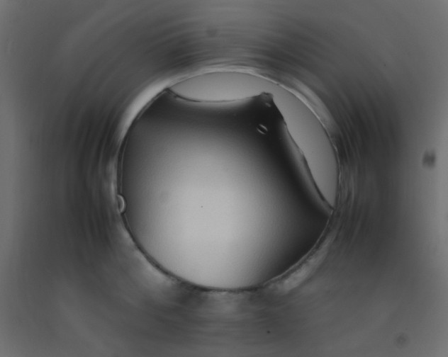 X0000092070812200710101017