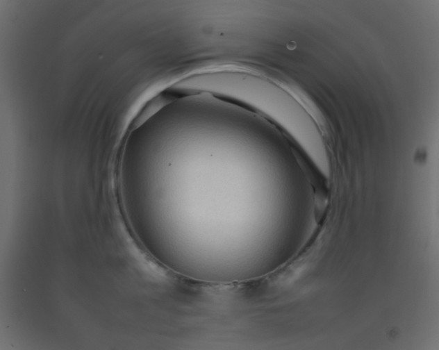 X0000092070813200710101017