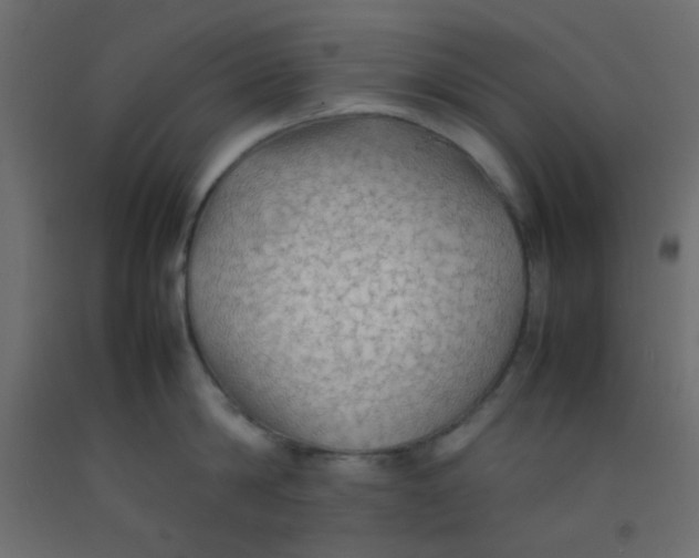 X0000092070814200710101017
