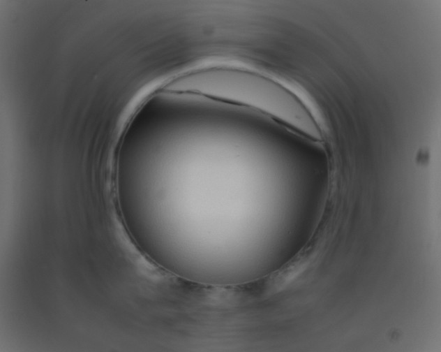 X0000092070815200710101017