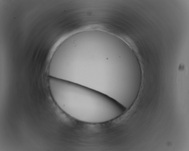 X0000092070816200710101017