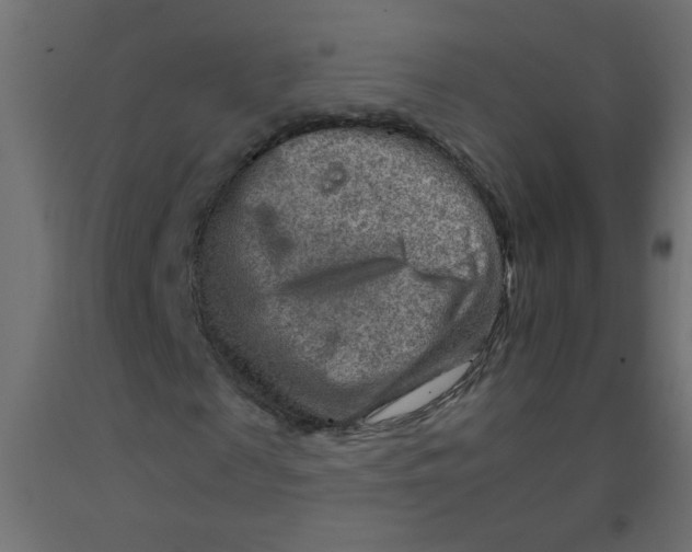 X0000092070817200710101016