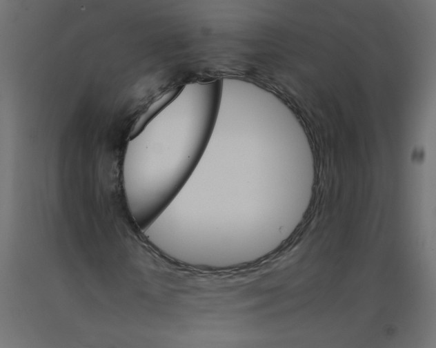 X0000092070818200710101016