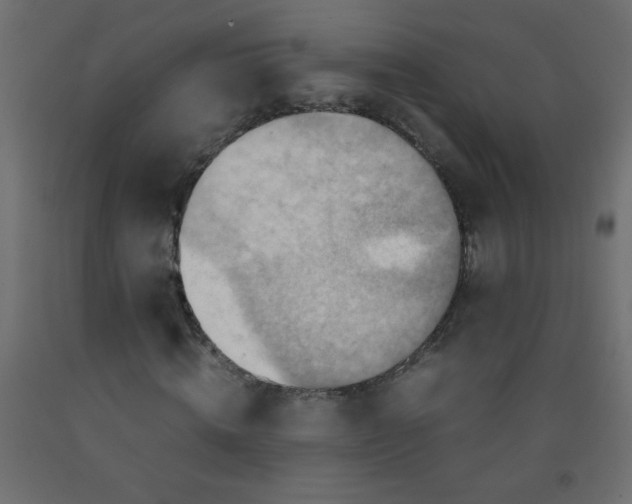 X0000092070820200710101017