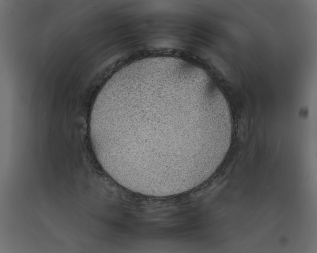 X0000092070821200710101017