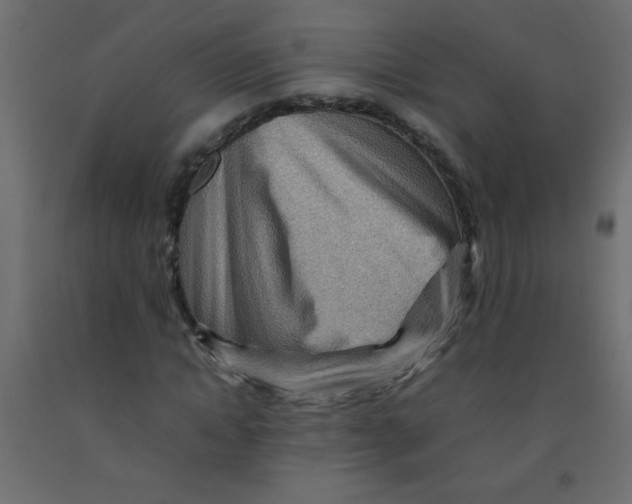 X0000092070822200710101017