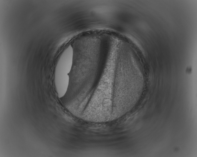 X0000092070823200710101017