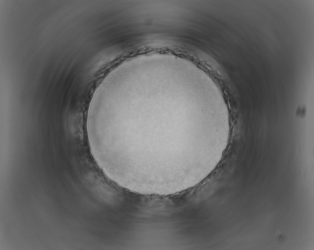 X0000092070824200710101017