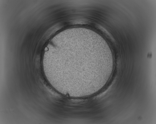 X0000092070825200710101017