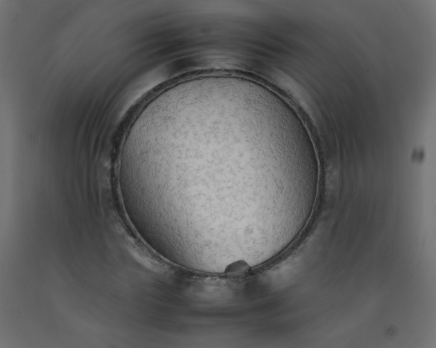 X0000092070827200710101017
