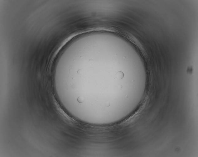 X0000092070828200710101017