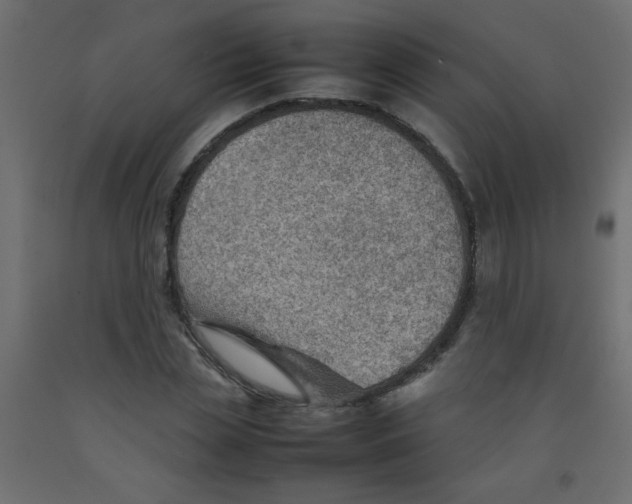 X0000092070829200710101017