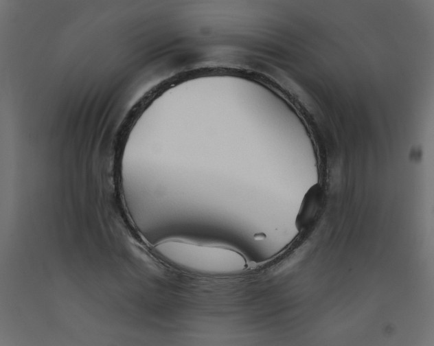 X0000092070830200710101017