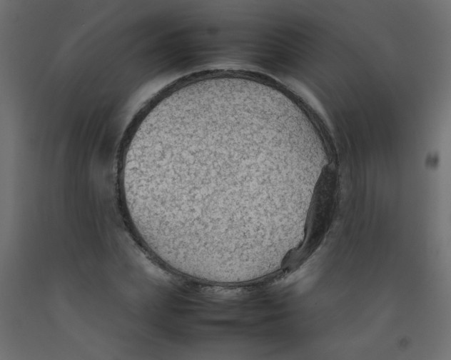 X0000092070831200710101017