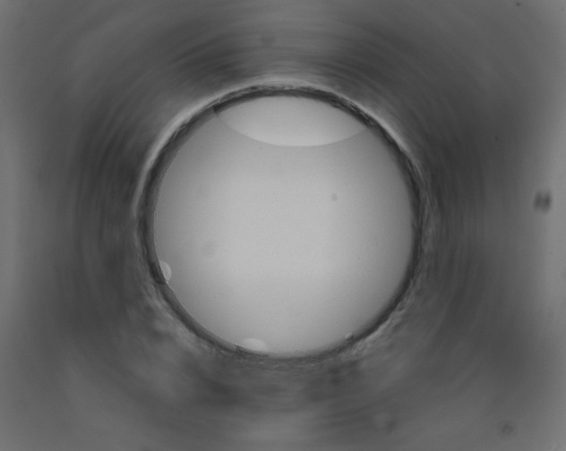 X0000092070832200710101017