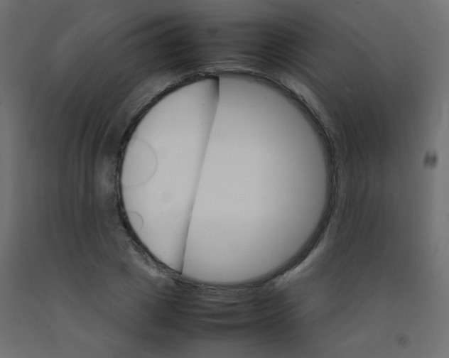 X0000092070833200710101017