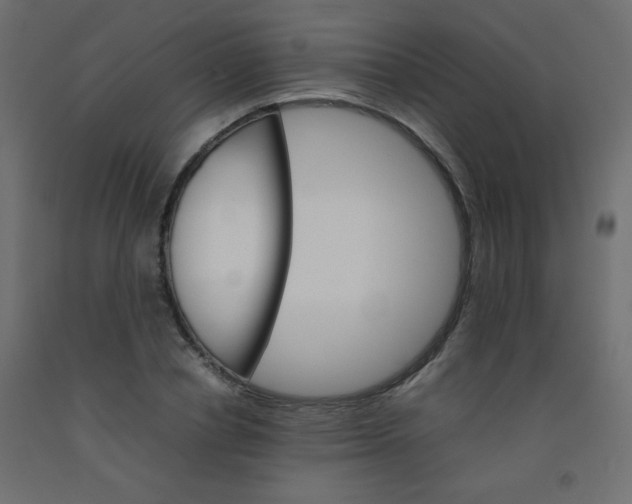 X0000092070834200710101017