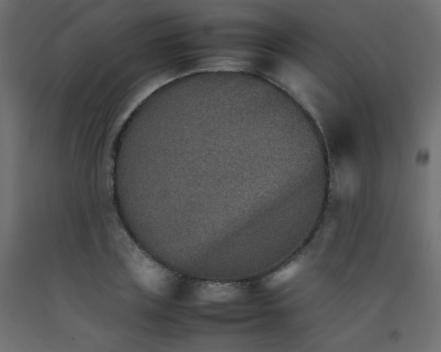 X0000092070835200710101017