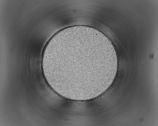X0000092070836200710101017