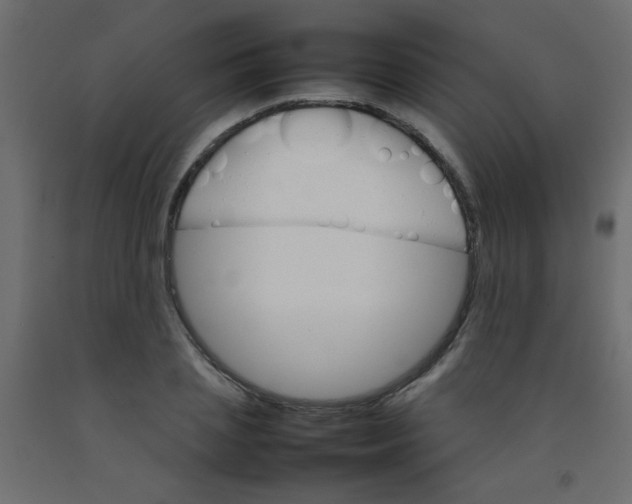 X0000092070837200710101017