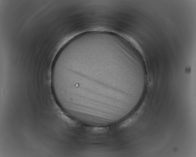 X0000092070839200710101017