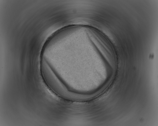 X0000092070840200710101017