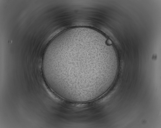 X0000092070841200710101017