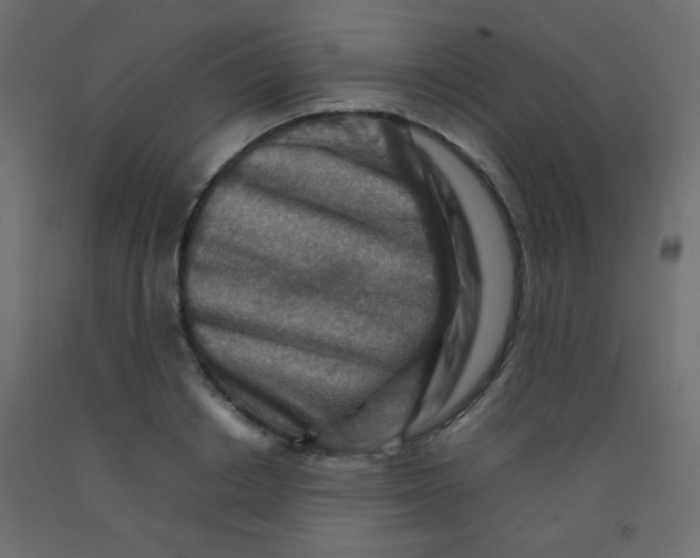 X0000092070842200710101017