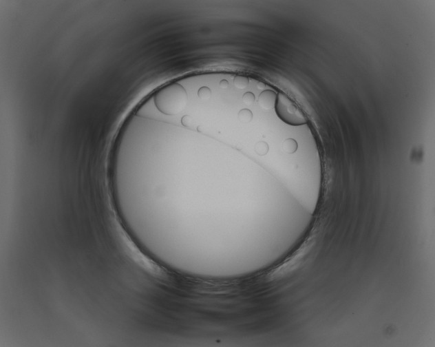 X0000092070843200710101017