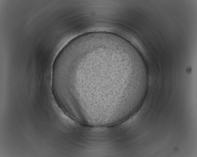X0000092070844200710101017