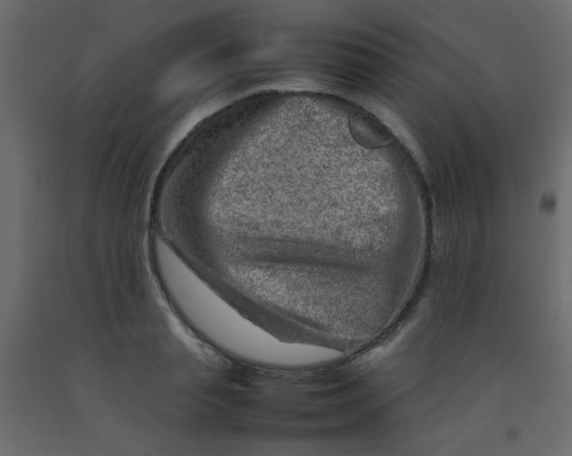X0000092070845200710101017
