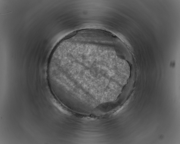 X0000092070846200710101017