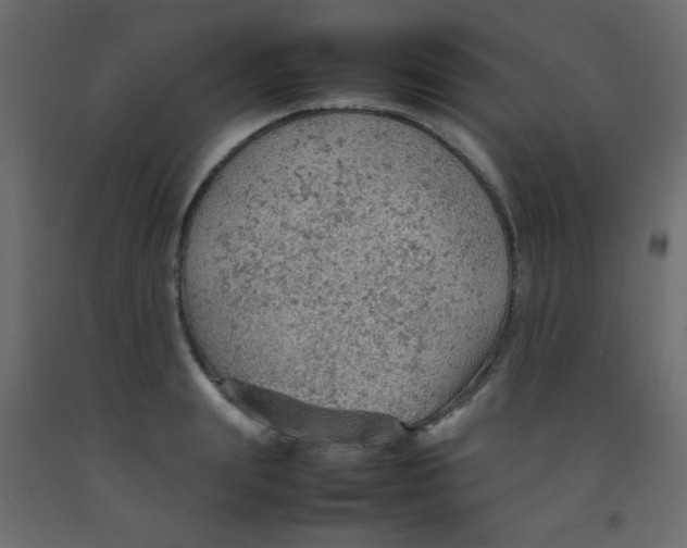 X0000092070847200710101017