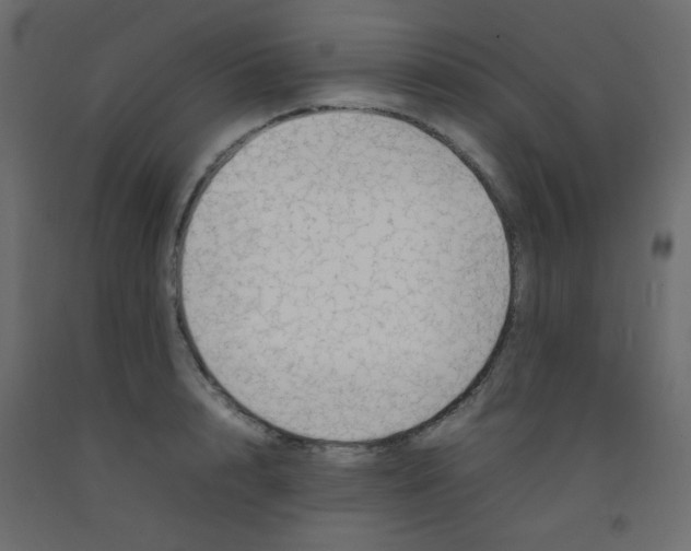 X0000092070848200710101017