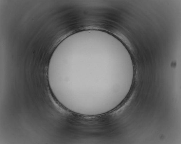 X0000092070849200710101017