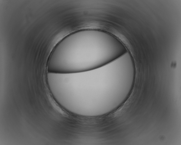 X0000092070850200710101017