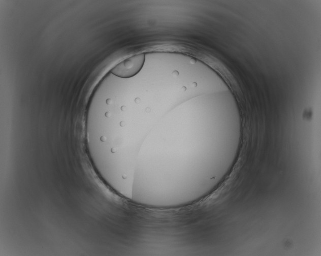 X0000092070852200710101017